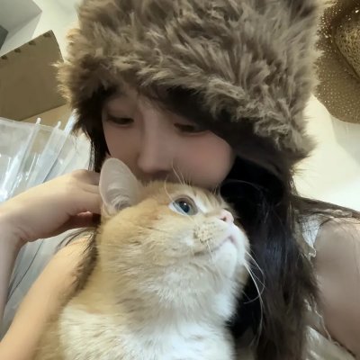 猫和老鼠在纽约